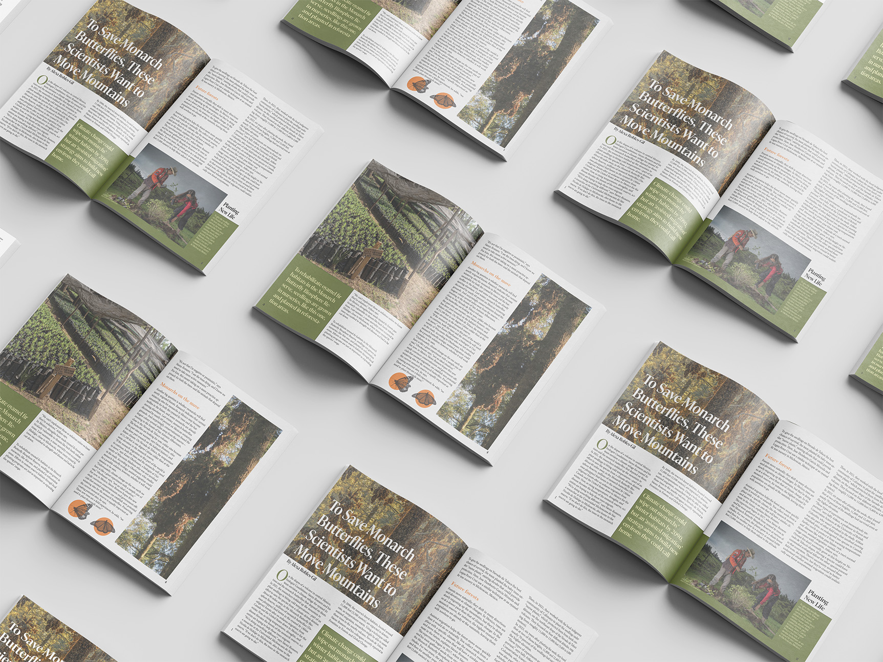 Mockup-2