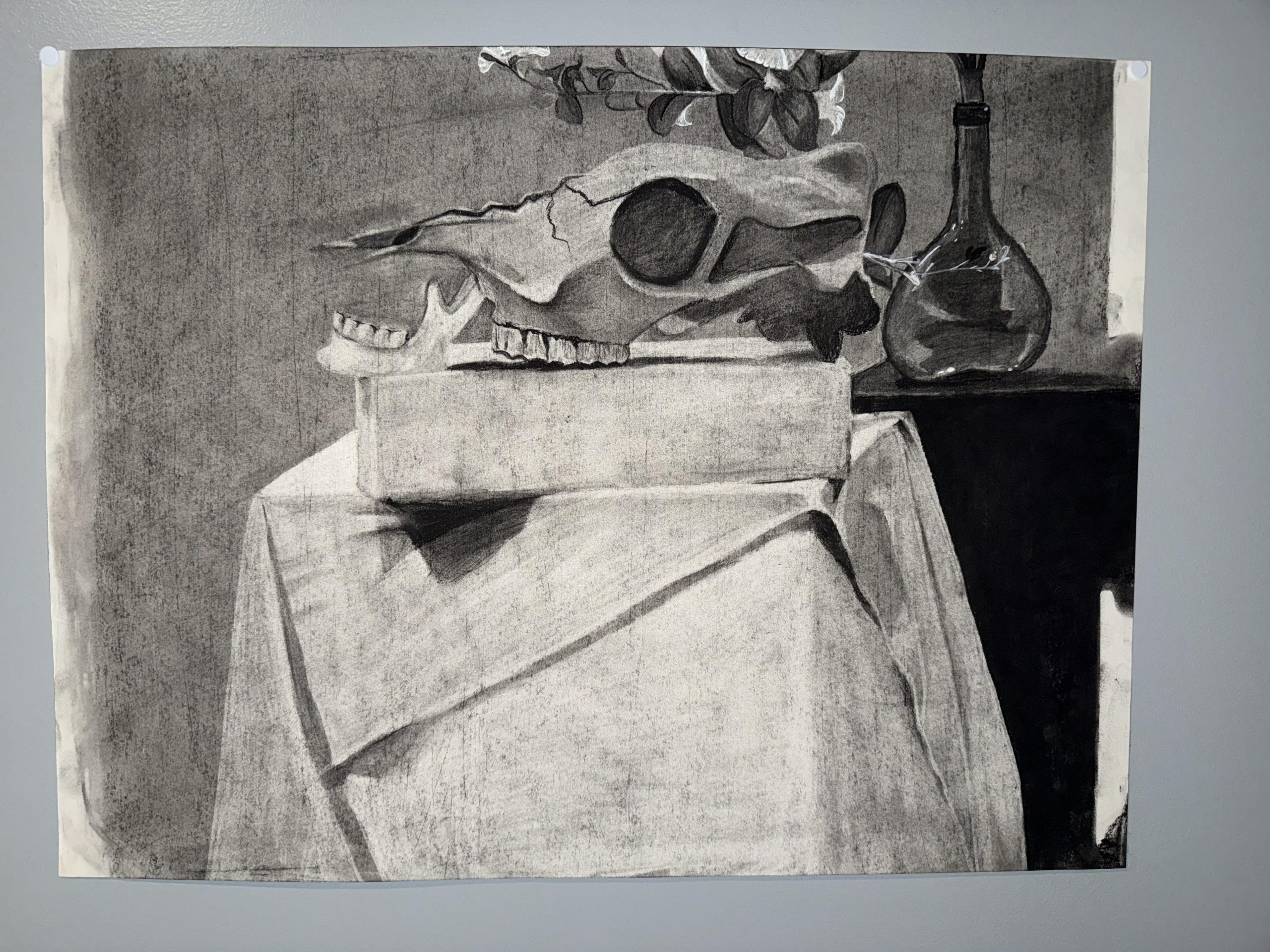 skull